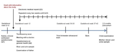 Copenhagen Mini-puberty, Study Design